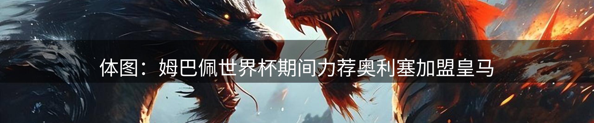 球盟会要闻