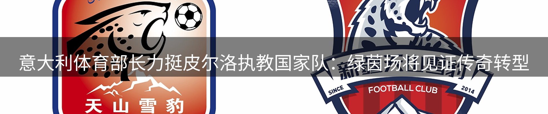 球盟会要闻
